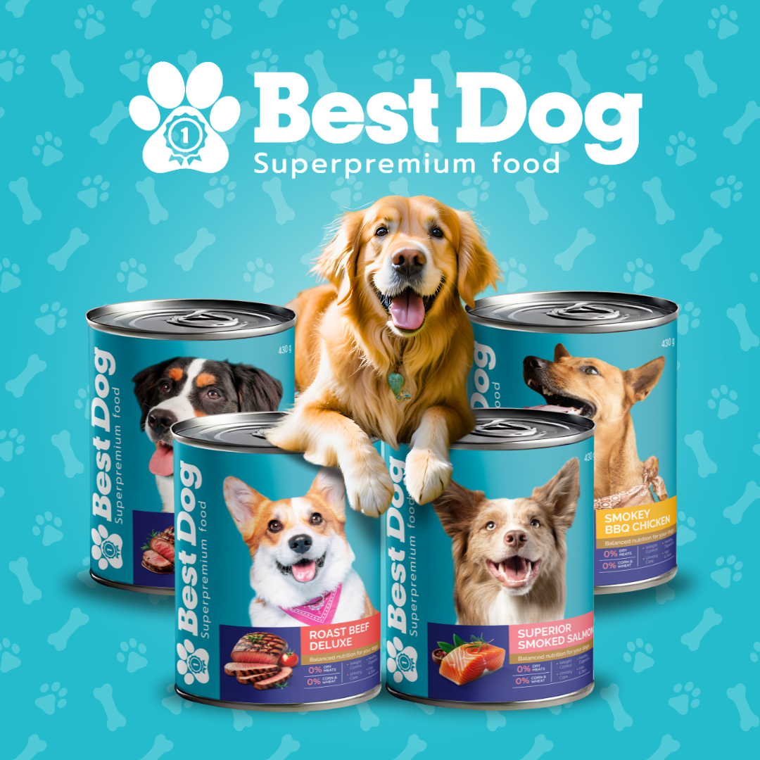 Best Dog Canned Dog Food – Smokey BBQ Chicken – High-Protein Wet Food for Picky Eaters