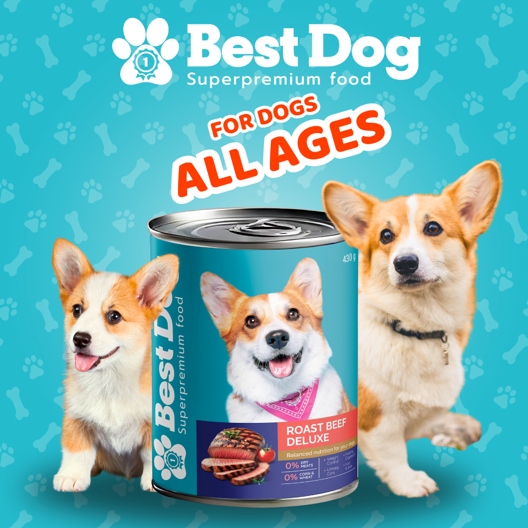 Best Dog Canned Dog Food – Smokey BBQ Chicken – High-Protein Wet Food for Picky Eaters