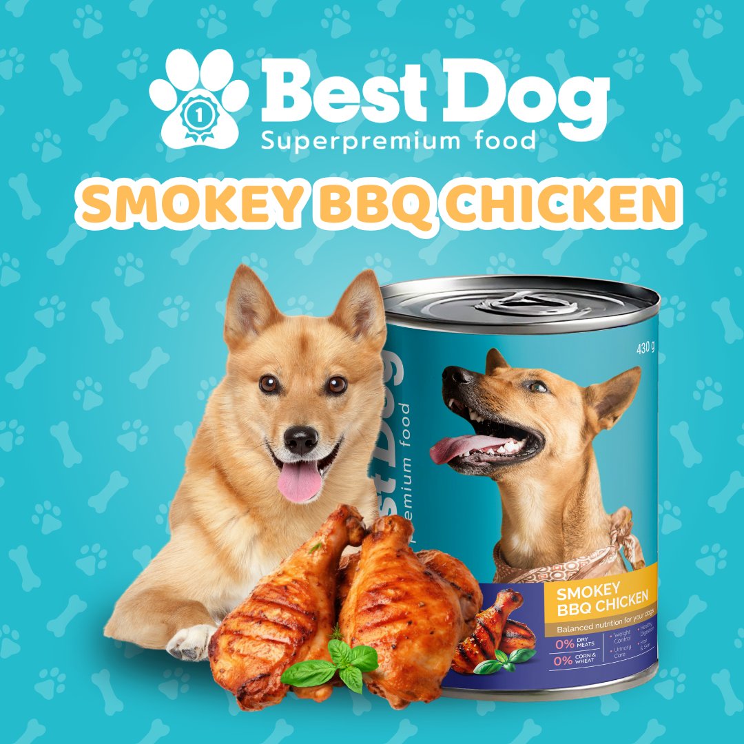 Best Dog Canned Dog Food – Smokey BBQ Chicken – High-Protein Wet Food for Picky Eaters