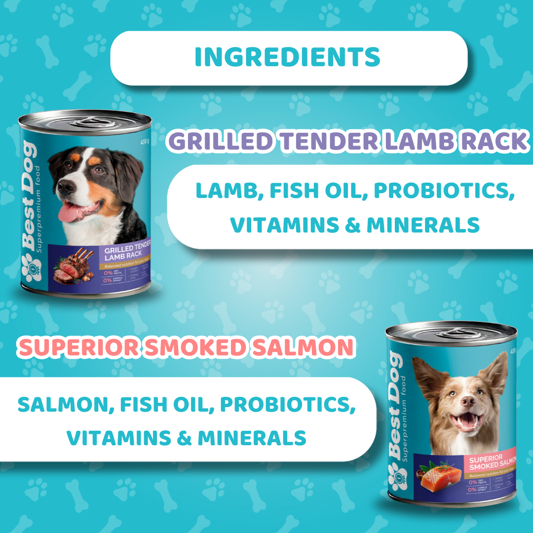 Best Dog Canned Dog Food – Roast Beef Deluxe – Juicy Wet Food for All Breeds