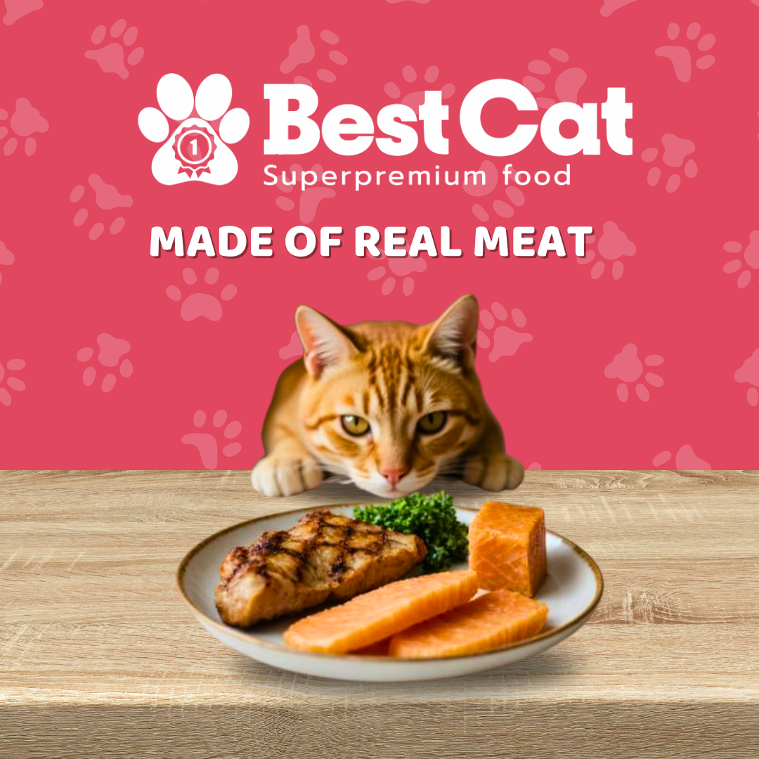 Best Cat Gourmet Mousse Tender Tuna and Roast Beef Grain Free Wet Cat Food
