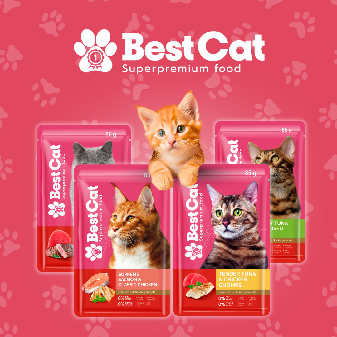 Best Cat Pouches