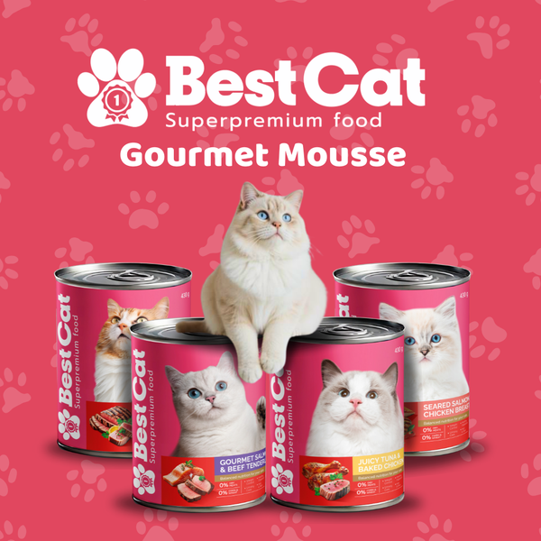 Best Cat Gourmet Mousse Cans