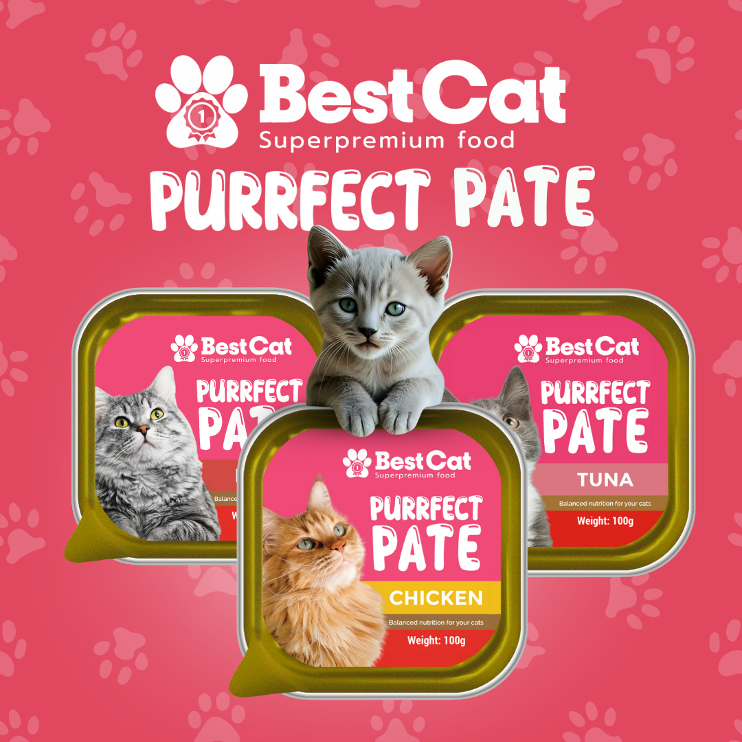 Best Cat Purrfect Pate Tuna Wet Cat Food 100g 3pcs