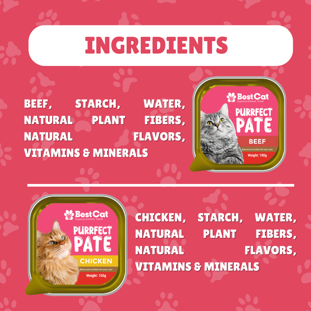 Best Cat Purrfect Pate Chicken Wet Cat Food 100g 3pcs