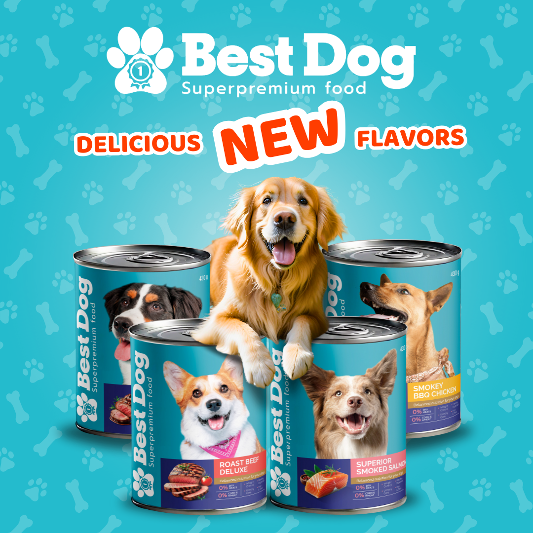 Best Dog Canned Dog Food – Roast Beef Deluxe – Juicy Wet Food for All Breeds