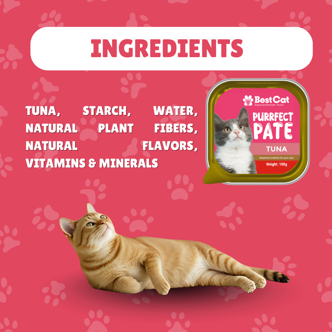 Best Cat Purrfect Pate Chicken Wet Cat Food 100g 3pcs