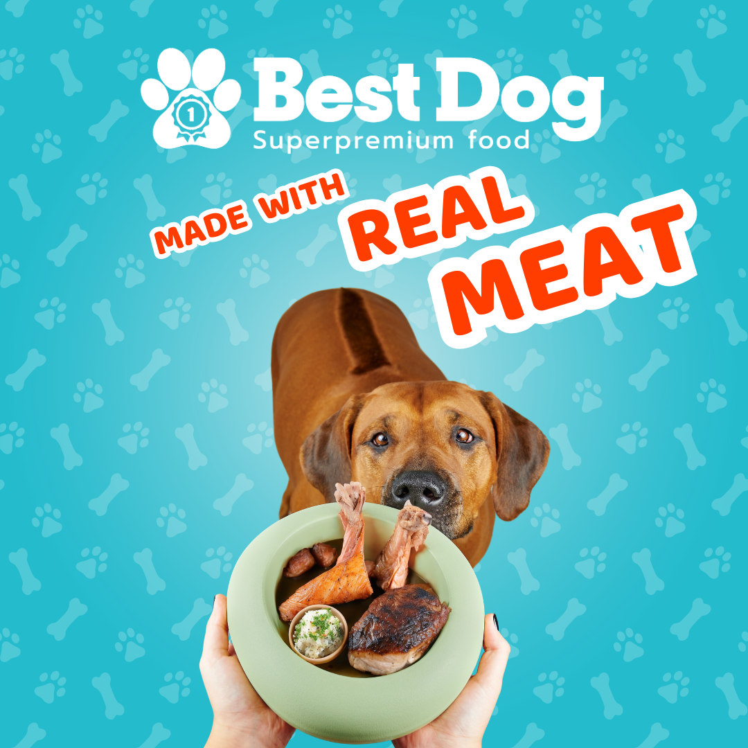 Best Dog Canned Dog Food – Roast Beef Deluxe – Juicy Wet Food for All Breeds