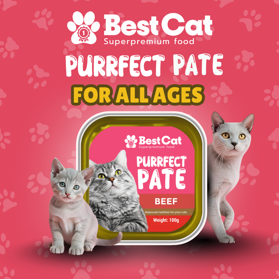 Best Cat Purrfect Pate Tuna Wet Cat Food 100g 3pcs