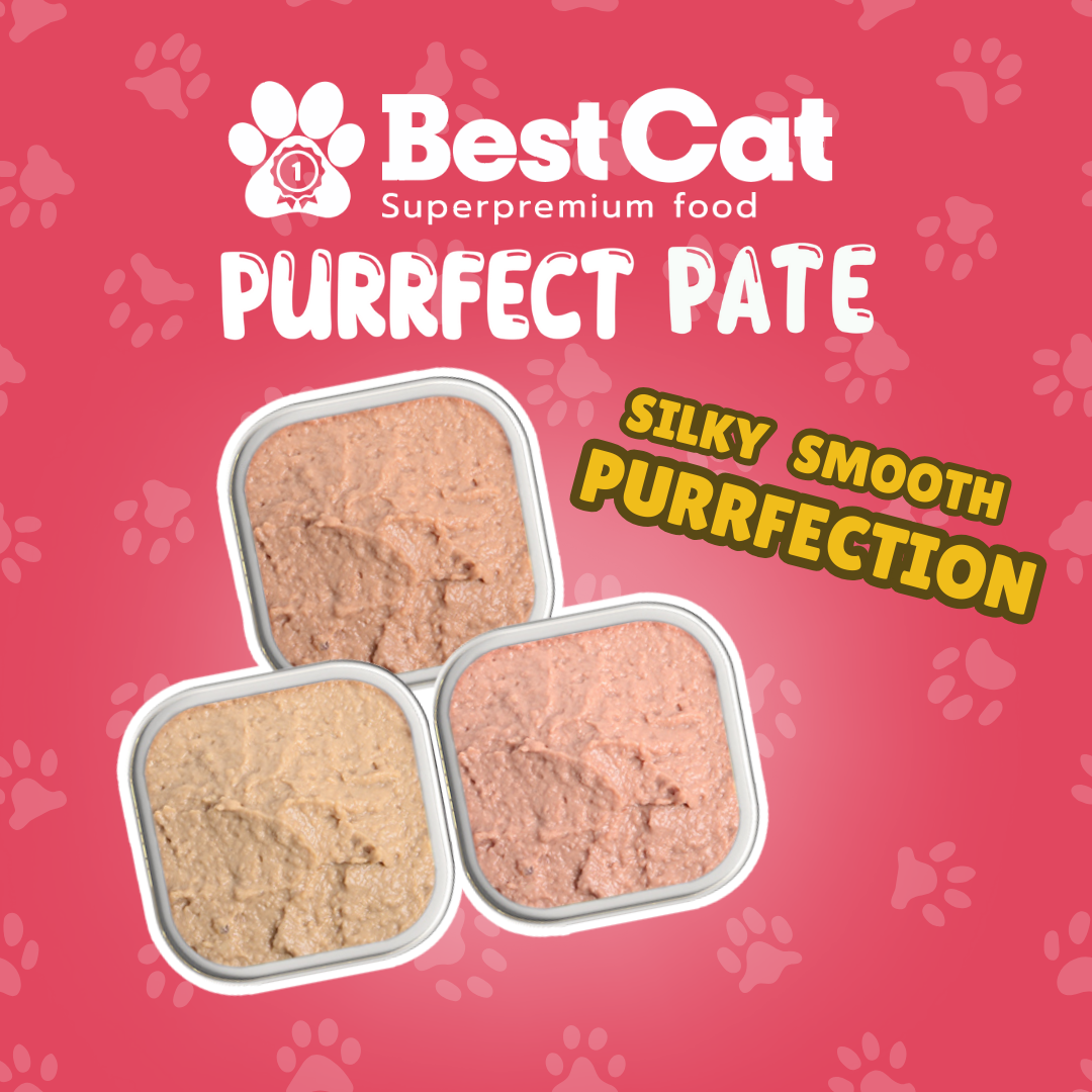 Best Cat Purrfect Pate Tuna Wet Cat Food 100g 3pcs