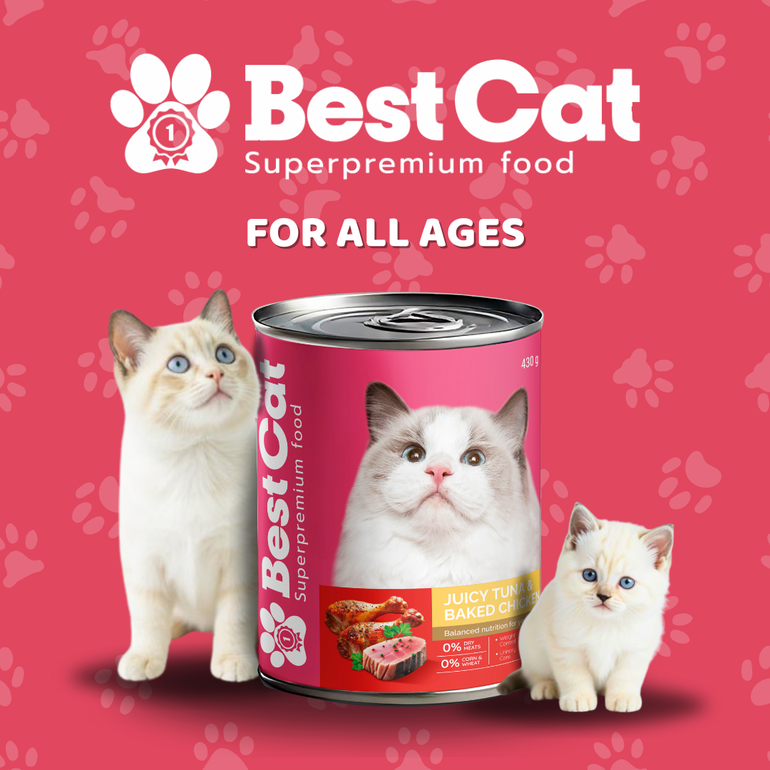 Best Cat Gourmet Mousse Juicy Tuna and Baked Chicken Grain Free Wet Cat Food