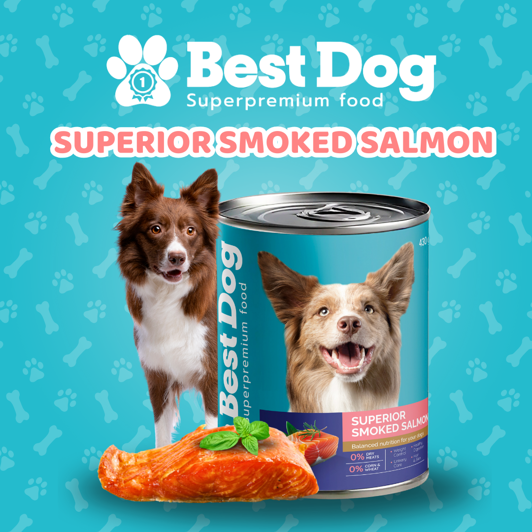 Best Dog Canned Dog Food – Superior Smoked Salmon – Omega-Rich Wet Food for Healthy Skin & Coat