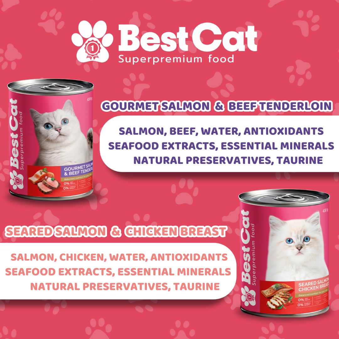 Best Cat Gourmet Mousse Seared Salmon and Chicken Breast Grain Free Wet Cat Food