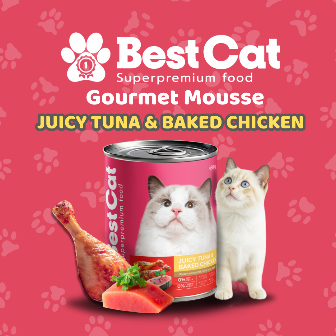 Best Cat Gourmet Mousse Juicy Tuna and Baked Chicken Grain Free Wet Cat Food