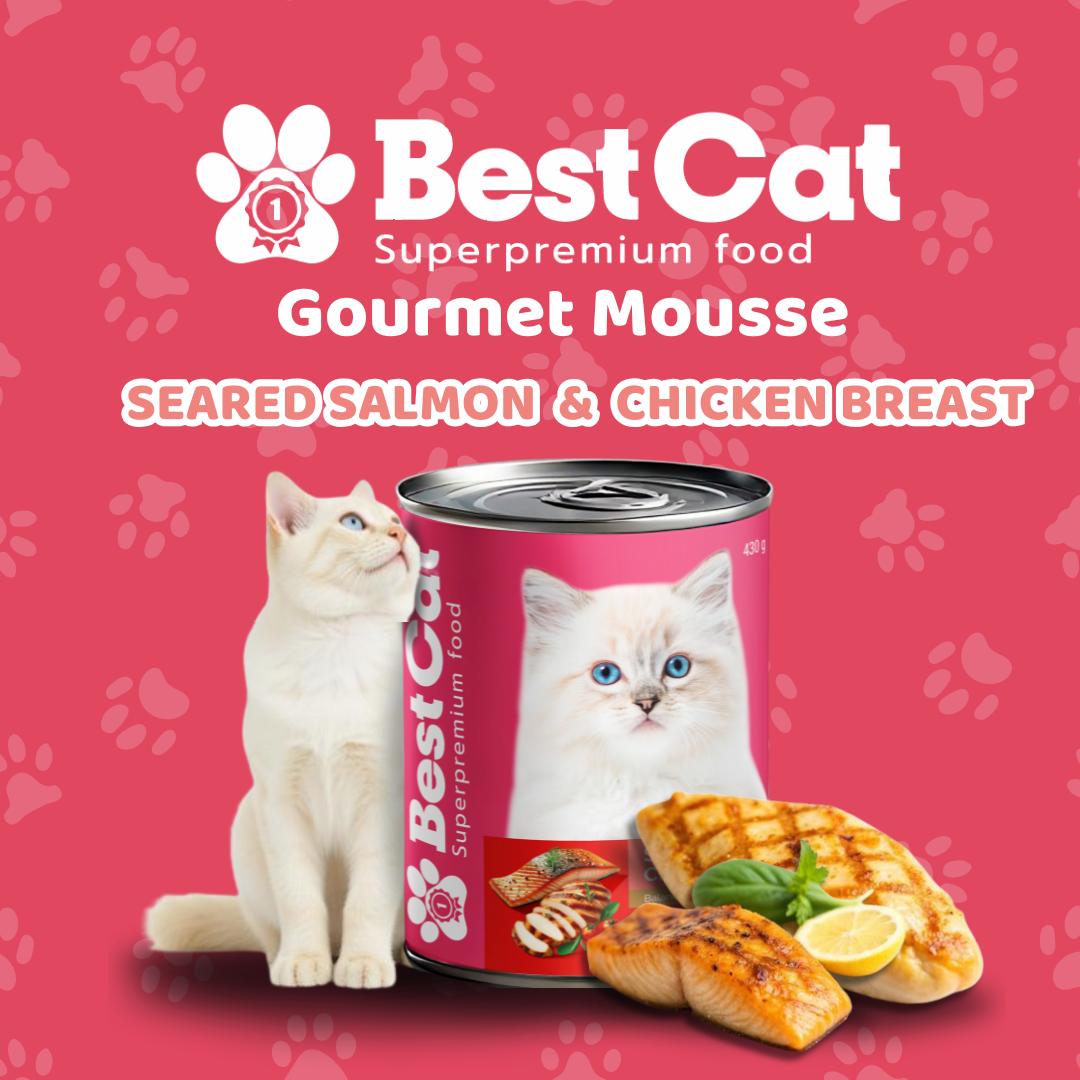Best Cat Gourmet Mousse Seared Salmon and Chicken Breast Grain Free Wet Cat Food