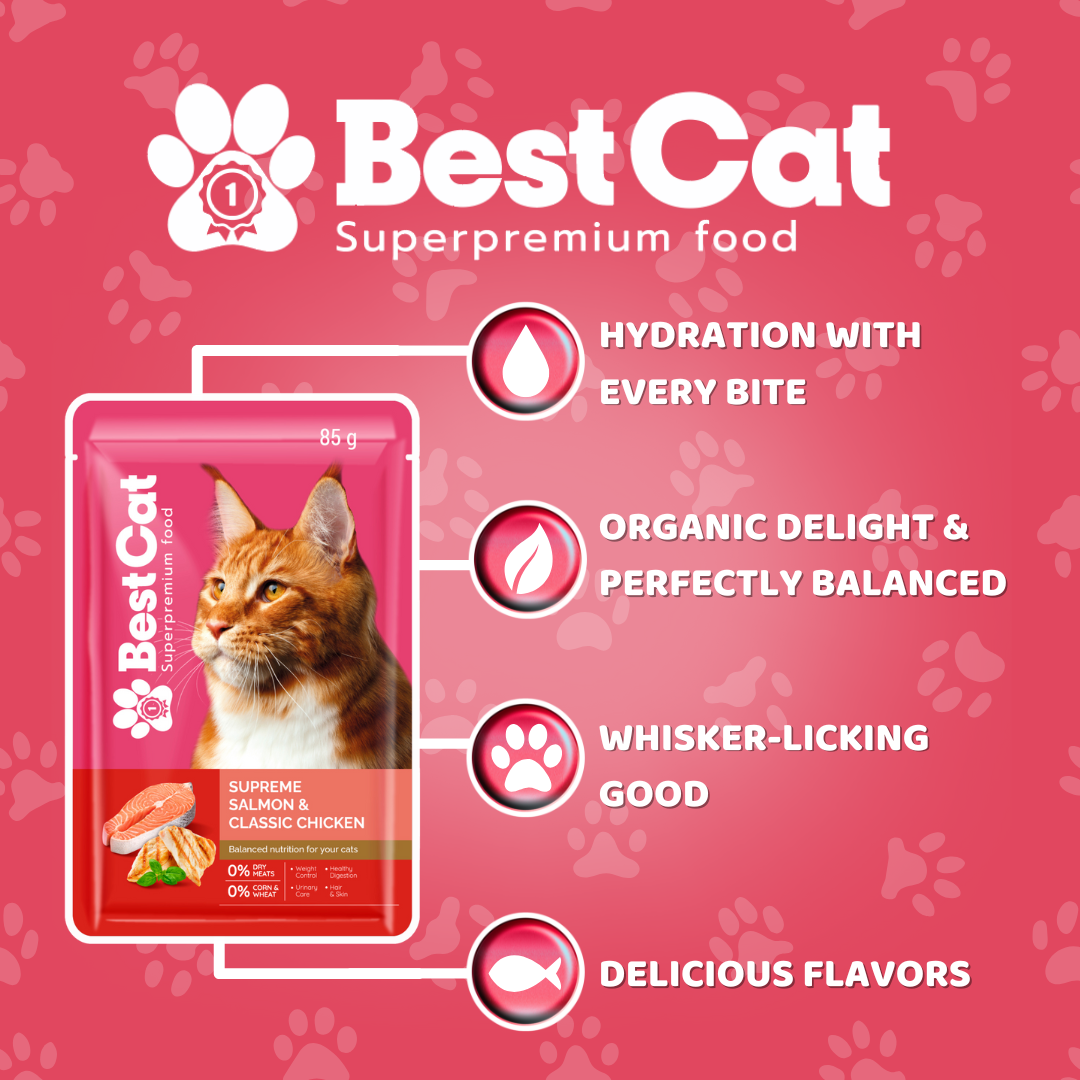 Best Cat Pouch 85g – Supreme Salmon & Classic Chicken | Wet Cat Food