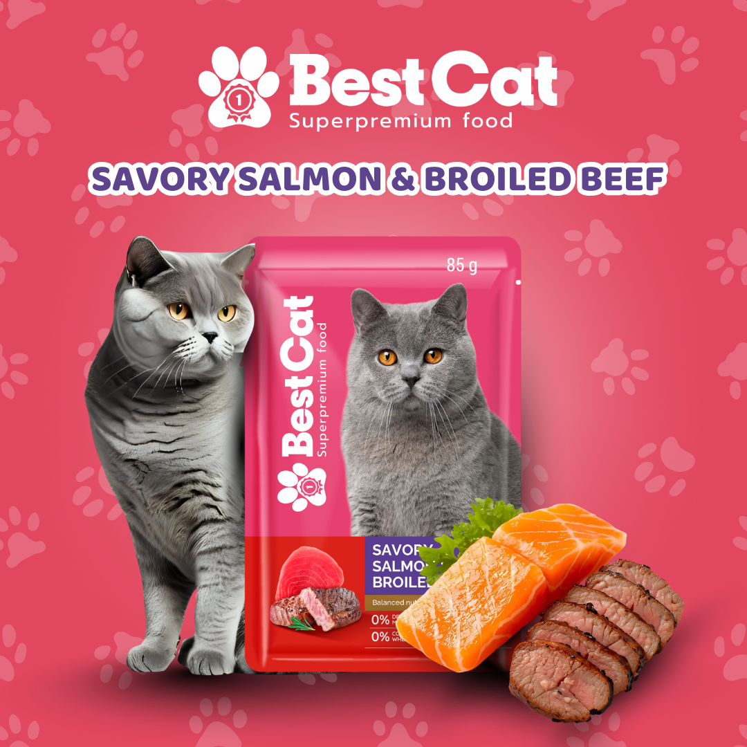 Best Cat Pouch 85g – Savory Salmon & Broiled Beef | Wet Cat Food