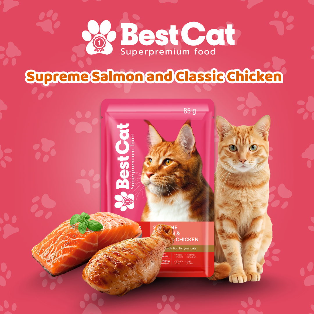 Best Cat Pouch 85g – Supreme Salmon & Classic Chicken | Wet Cat Food