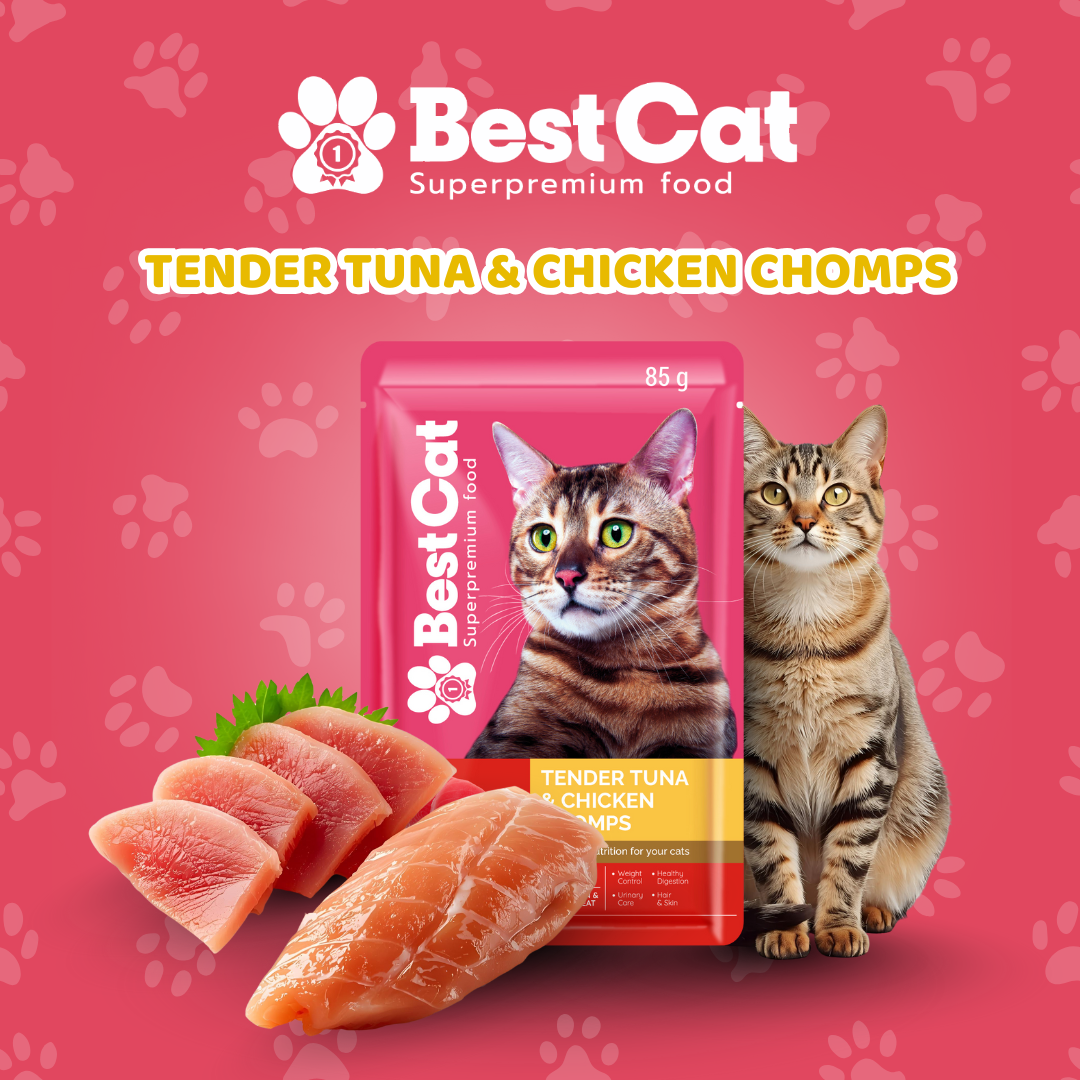 Best Cat Pouch 85g – Tender Tuna & Chicken Chomps | Wet Cat Food