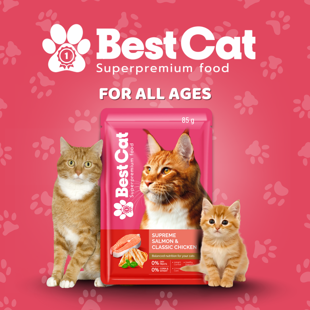 Best Cat Pouch 85g – Tender Tuna & Chicken Chomps | Wet Cat Food