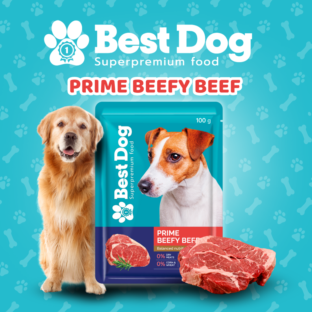 Best Dog Pouch 100g Prime Beefy Beef | Wet Dog Food