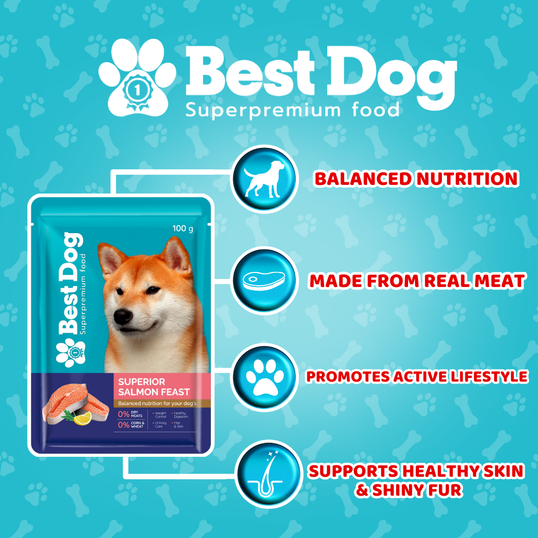 Best Dog Pouch 100g Superior Salmon Feast | Wet Dog Food