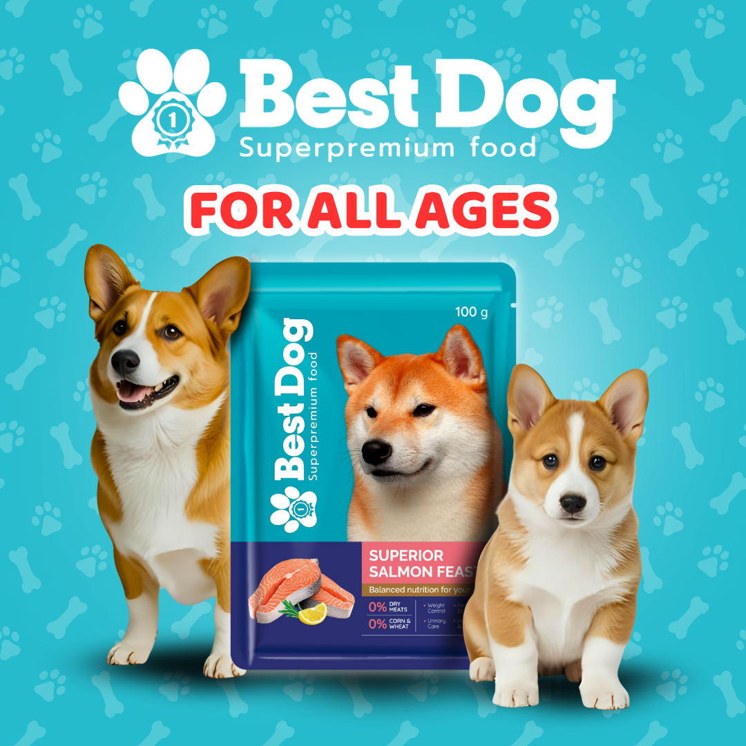 Best Dog Pouch 100g Prime Beefy Beef | Wet Dog Food