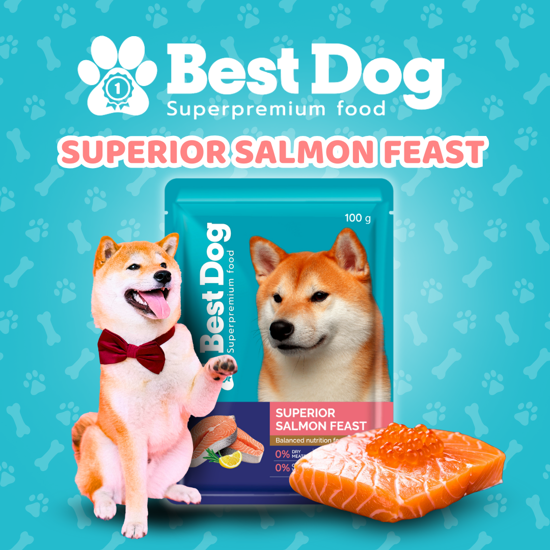 Best Dog Pouch 100g Superior Salmon Feast | Wet Dog Food