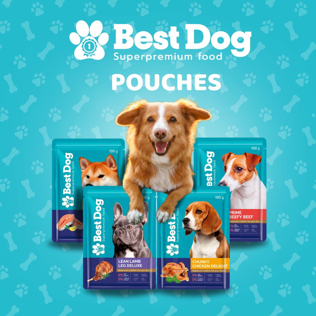 Best Dog Pouch 100g Prime Beefy Beef | Wet Dog Food