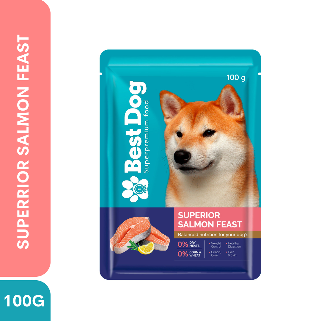 Best Dog Pouch 100g Superior Salmon Feast | Wet Dog Food