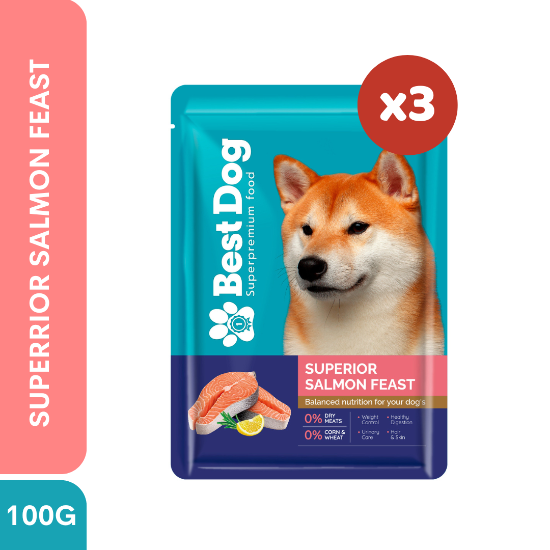 Best Dog Wet Dog Food Pouch 100g Superior Salmon Feast 3pcs | Complete & Balanced Adult Dog Food