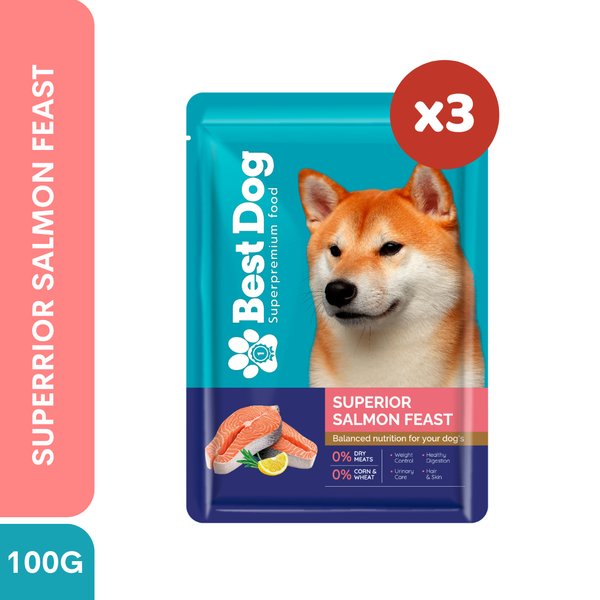 Best Dog Wet Dog Food Pouch 100g Superior Salmon Feast 3pcs | Complete & Balanced Adult Dog Food