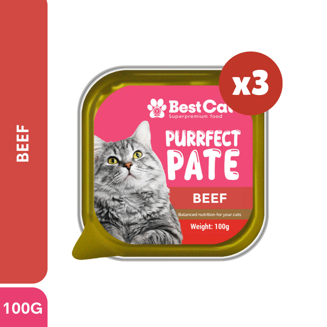 Best Cat Purrfect Pate Beef Super Premium Wet Cat Food 100g 3pcs