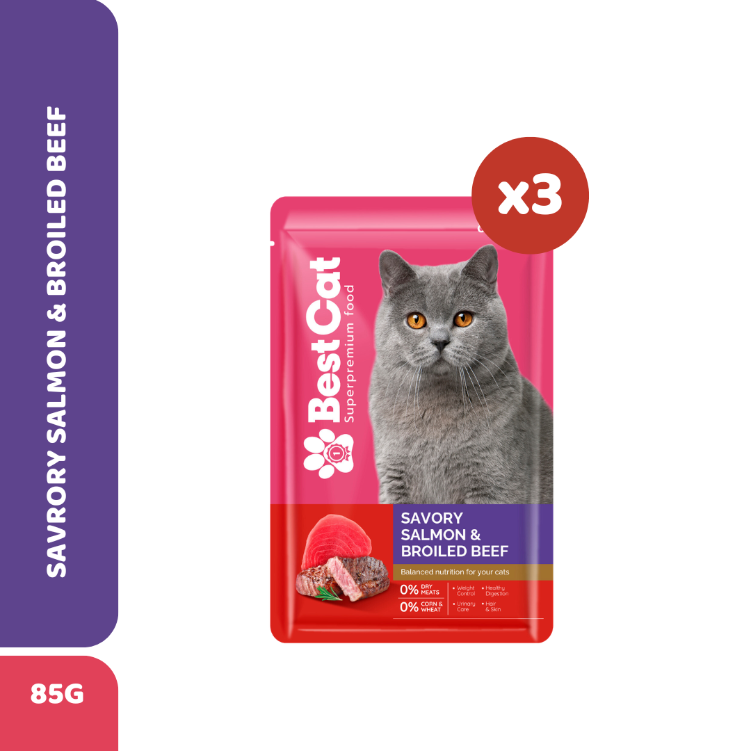 Best Cat Wet Cat Food Savory Salmon & Broiled Beef (3 Pcs) | Premium Complete & Balanced Wet Cat Food
