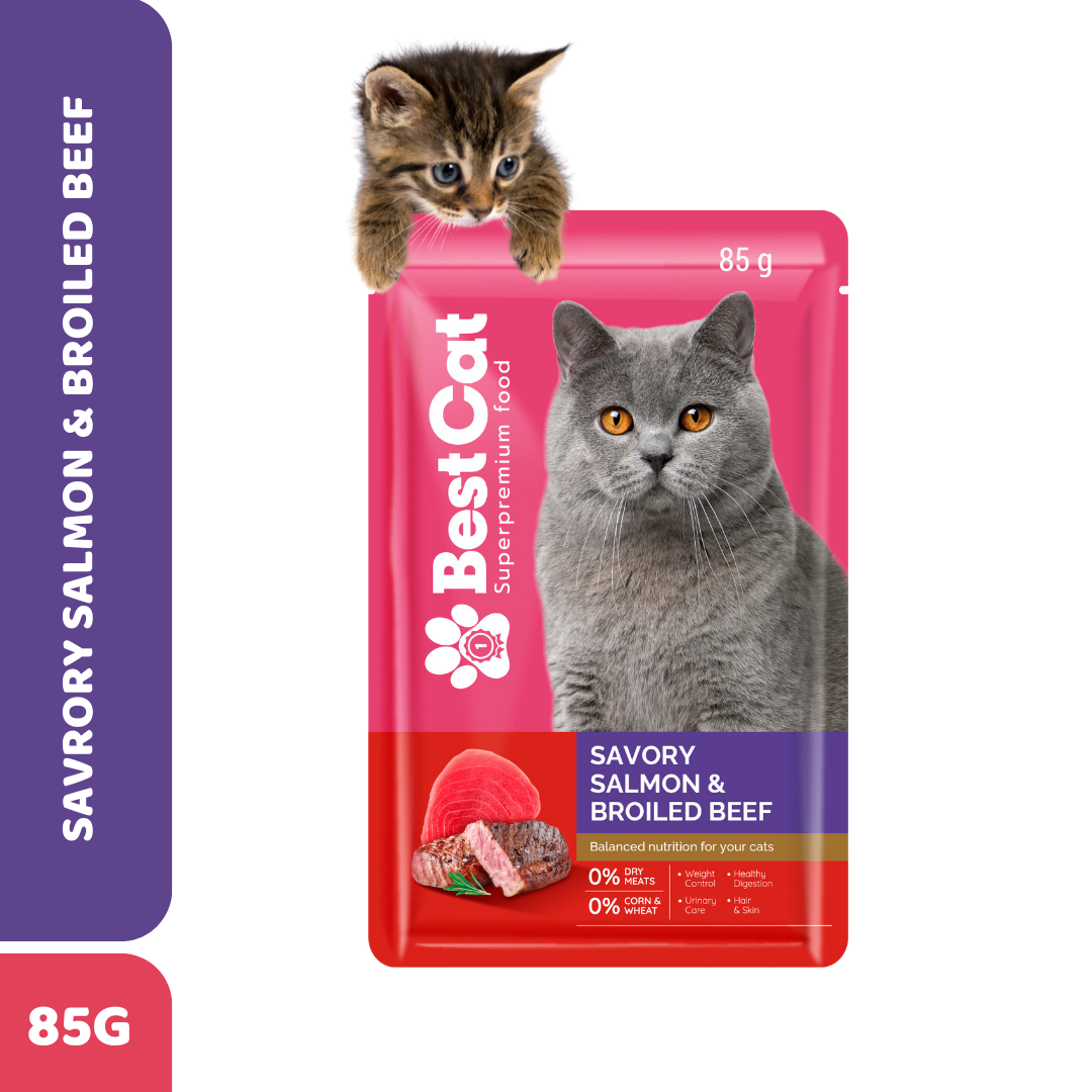 Best Cat Pouch 85g – Savory Salmon & Broiled Beef | Wet Cat Food